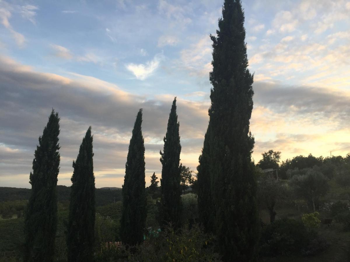 Agriturismo Malpensata Radda in Chianti Eksteriør billede
