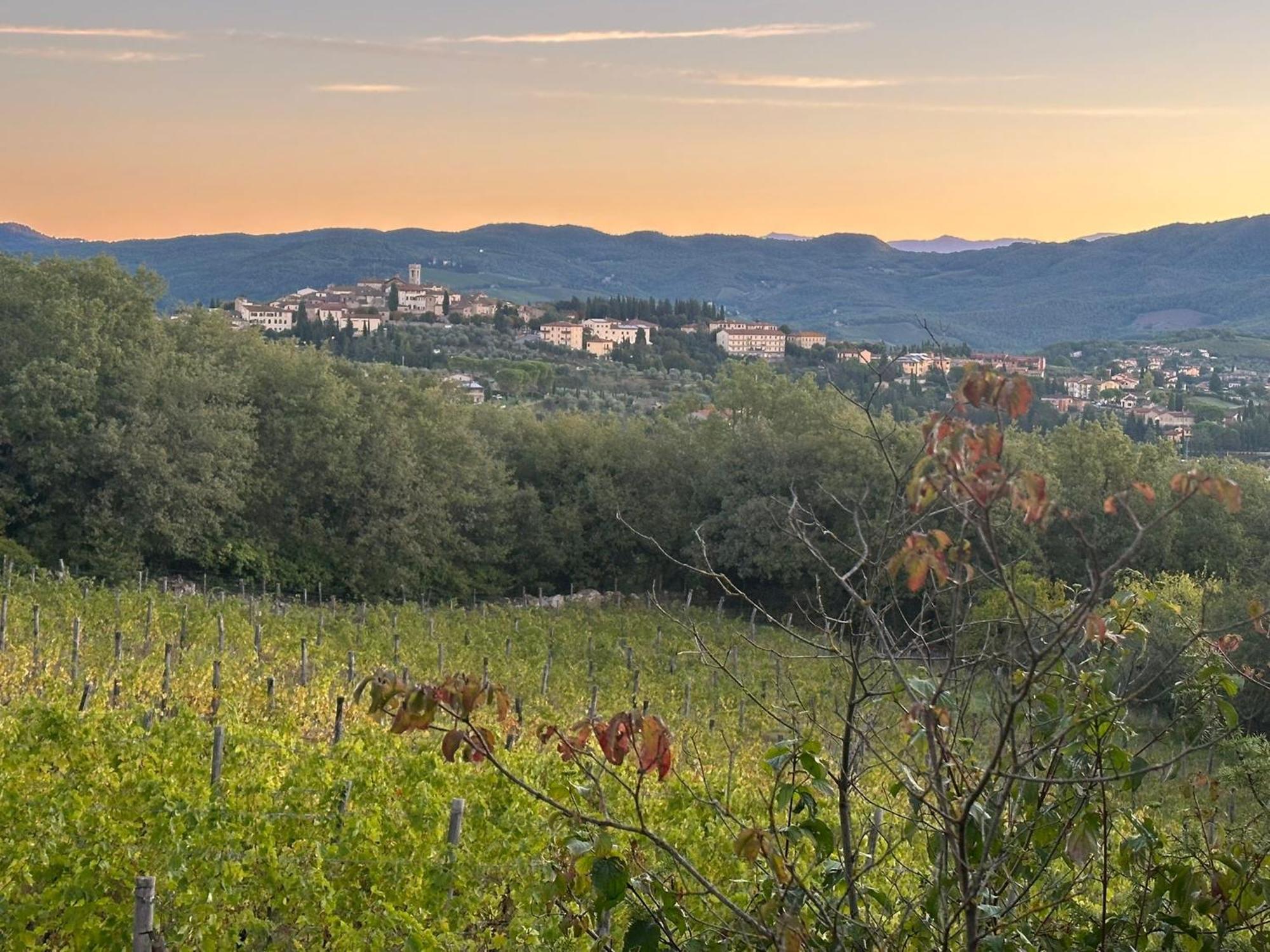 Agriturismo Malpensata Radda in Chianti Eksteriør billede